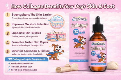 DogAurum Collagen Drops